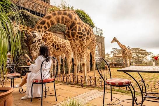Giraffe Manor — Betty's Room